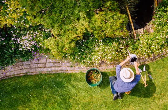 Tout sur l’entretien des jardins