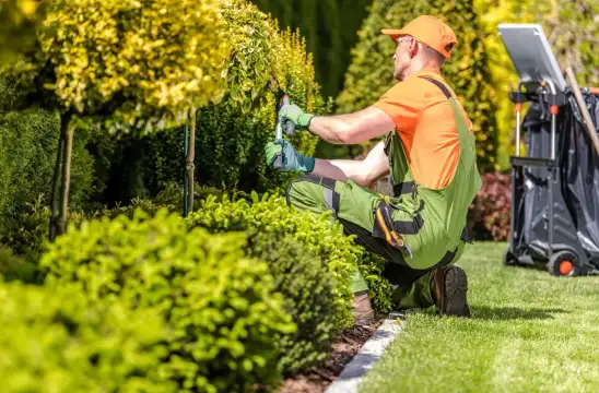 Les travaux d’entretien de jardin sur 37